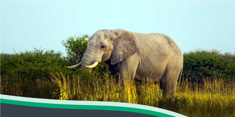 ADHI: Основы Arenadata Hadoop