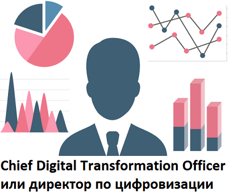 Кто такой директор по цифровизации и чем он отличается от других руководителей