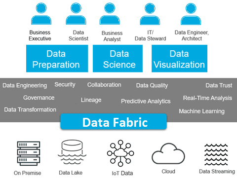 Big Data Fabric