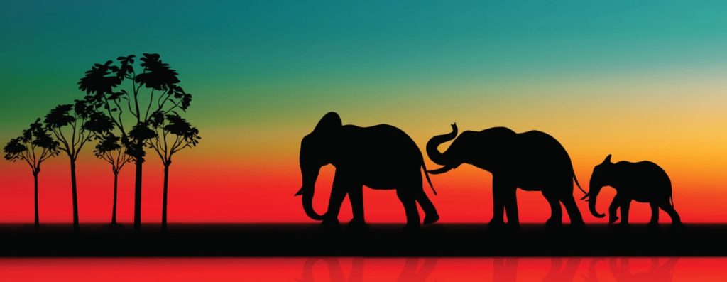 Курс Администрирование кластера Hadoop Cloudera Arenadata HortonWorks